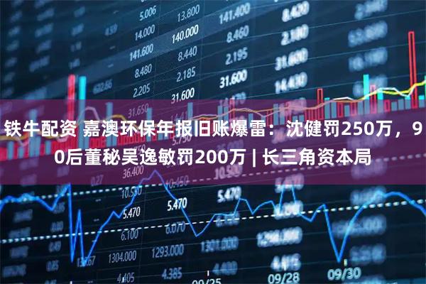 铁牛配资 嘉澳环保年报旧账爆雷：沈健罚250万，90后董秘吴逸敏罚200万 | 长三角资本局